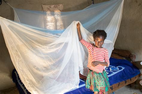 mosquito net charity|buy malaria nets.